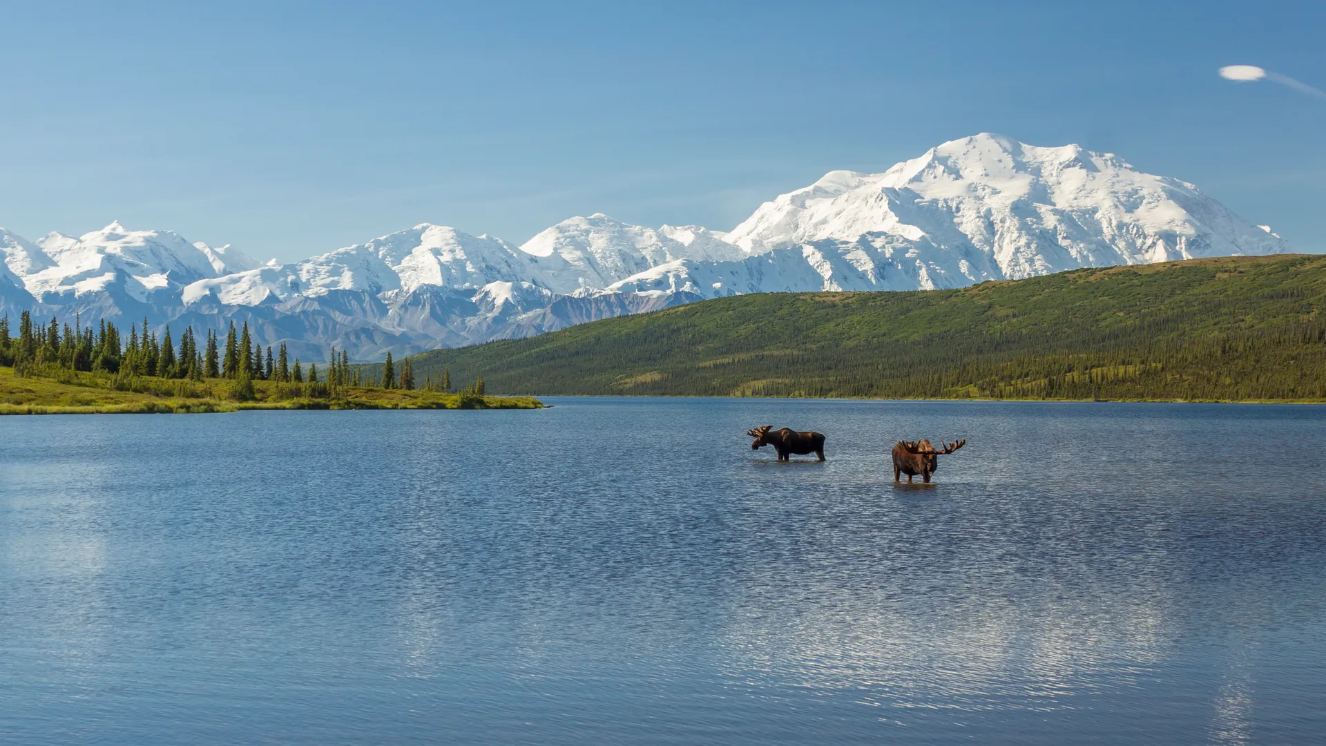 Pickup/drop-off Outside Anchorage area for an additional fee.